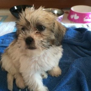 Meet your Posher, Eva